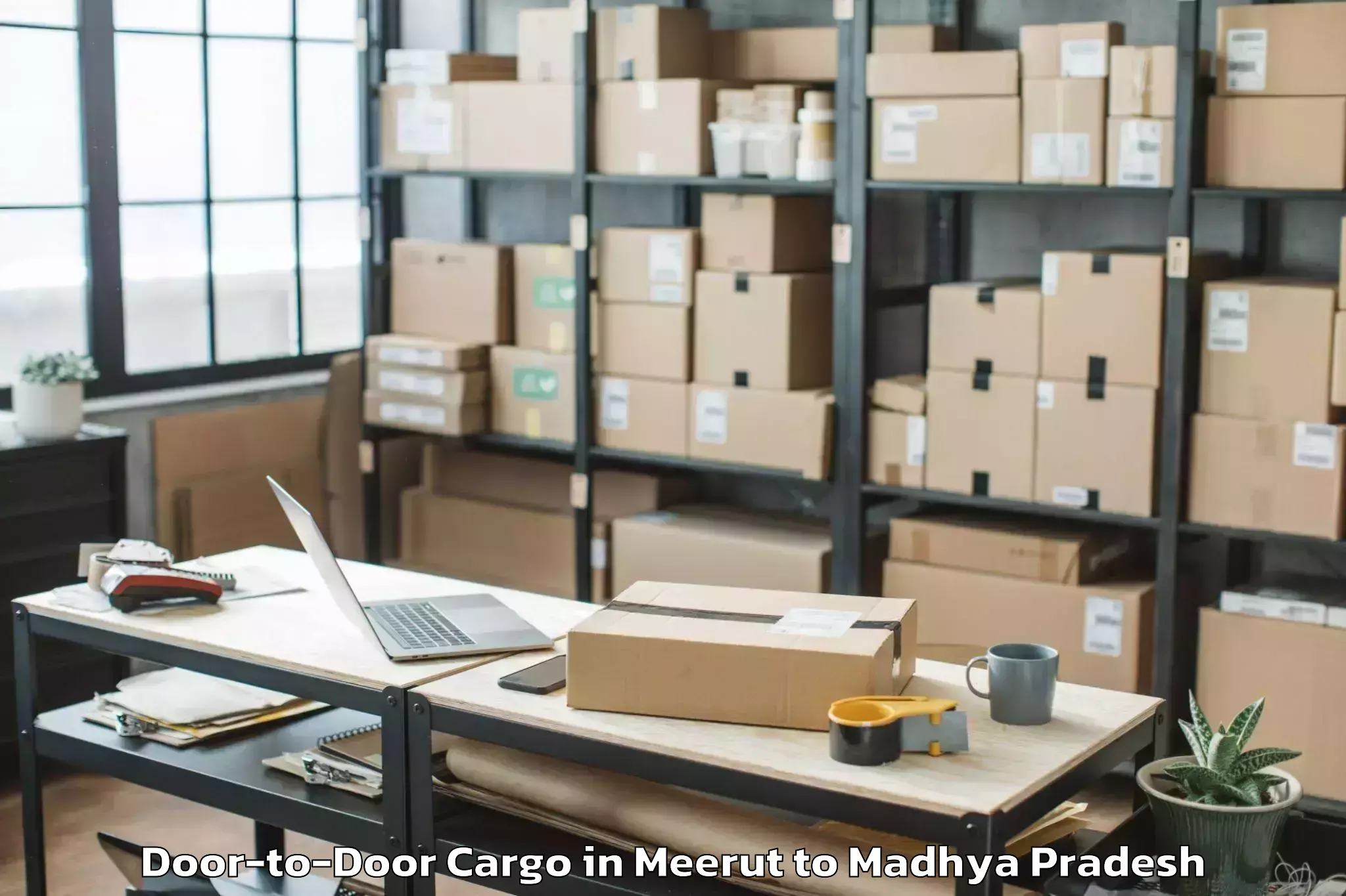 Affordable Meerut to Seoni Door To Door Cargo